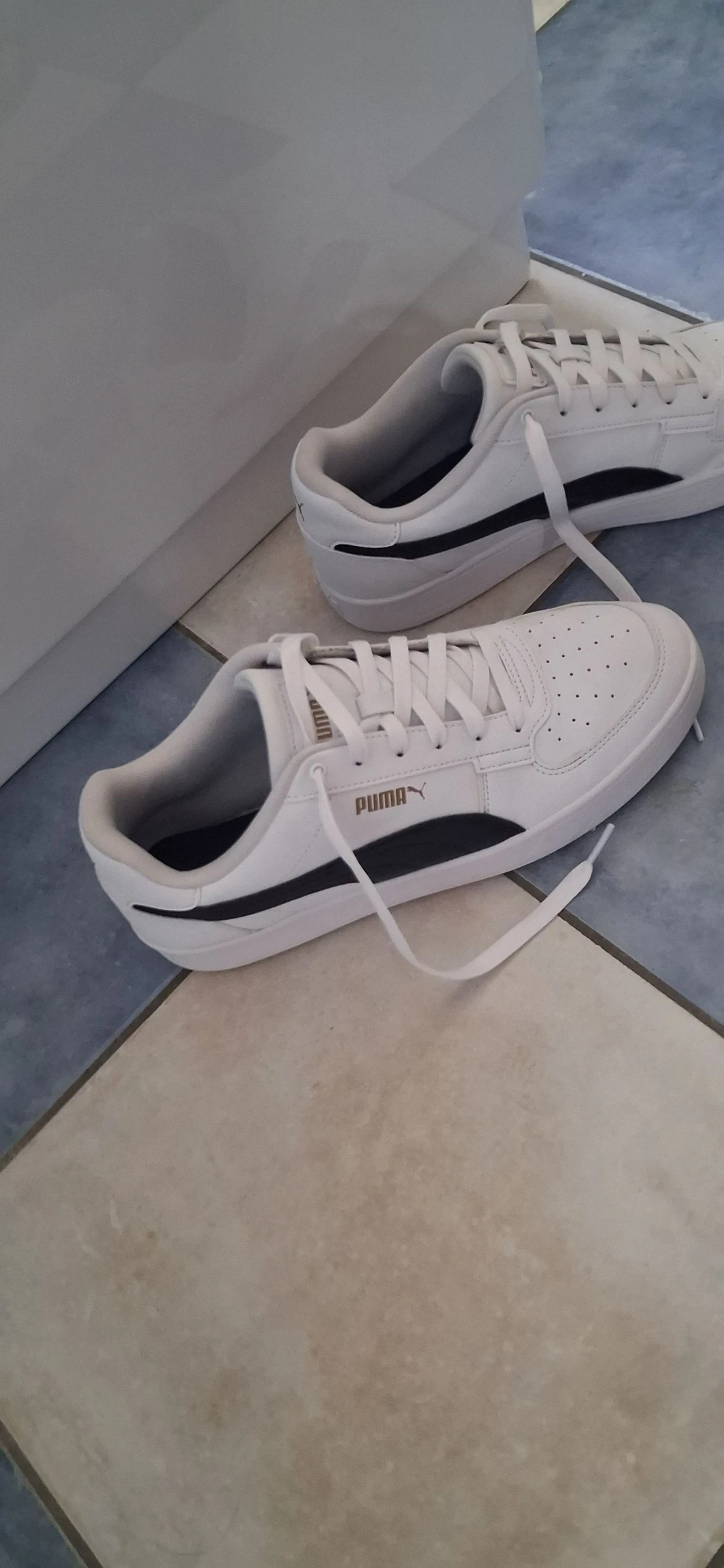 Cesta puma – photo 2